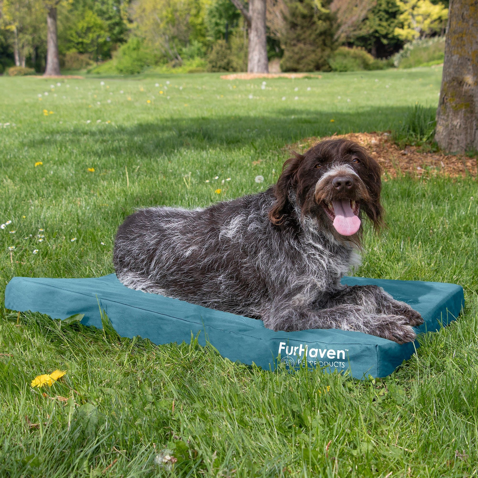 FurHaven Deluxe Oxford Orthopedic Indoor/Outdoor Dog & Cat Bed with Removable Cover, Large, Deep Lagoon