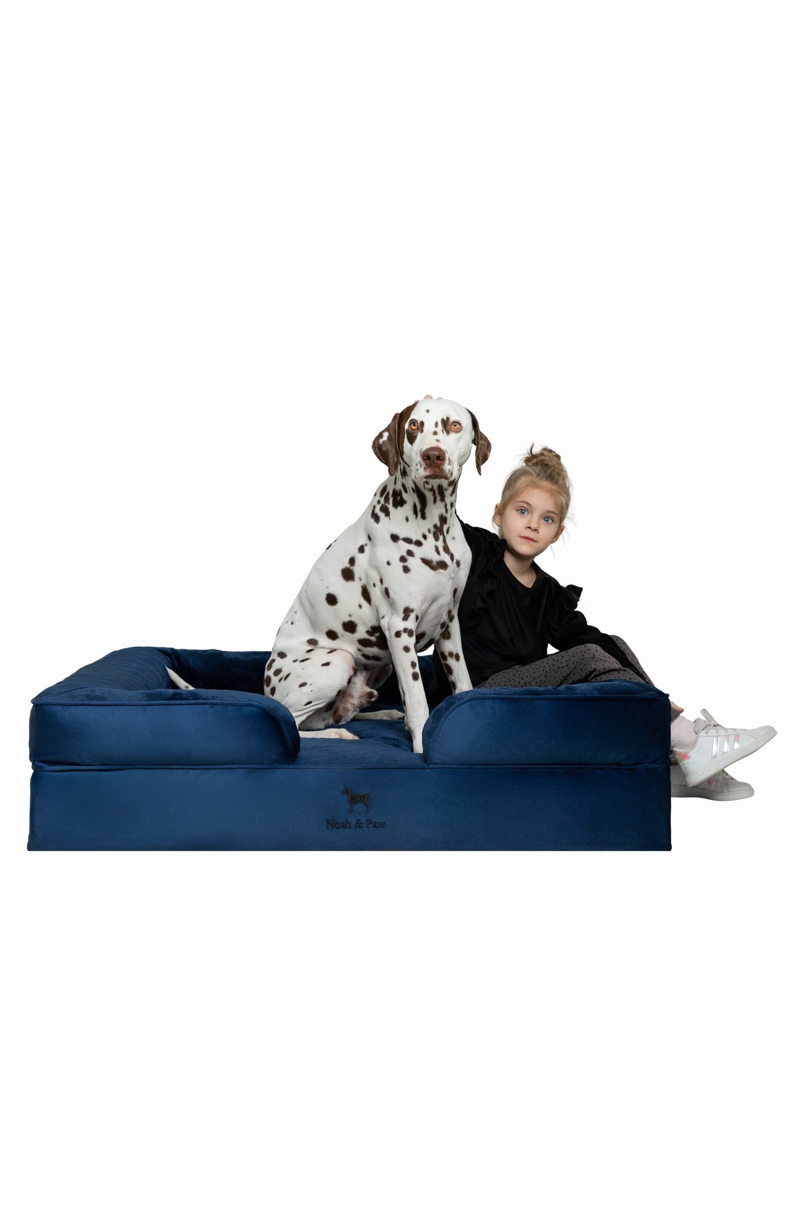 Noah & Paw Machine Washable Orthopedic Sofa Dog Bed, Navy Blue, X-Large