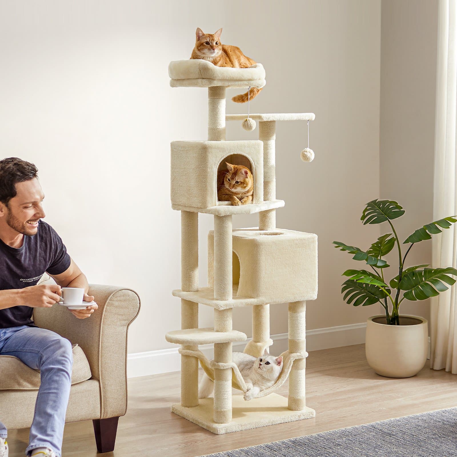 FEANDREA Plush Cat Tree & Condo, 61-in, Beige